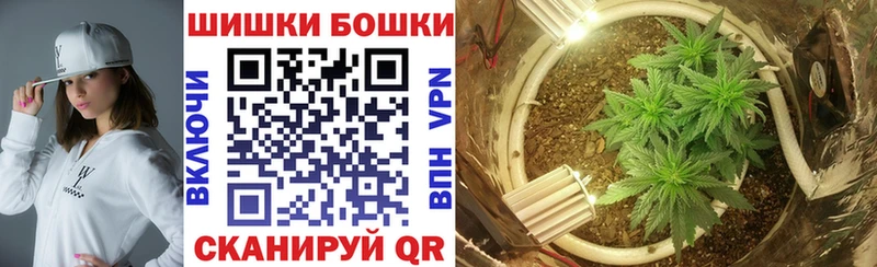 наркотики  Пудож  Бошки марихуана конопля 
